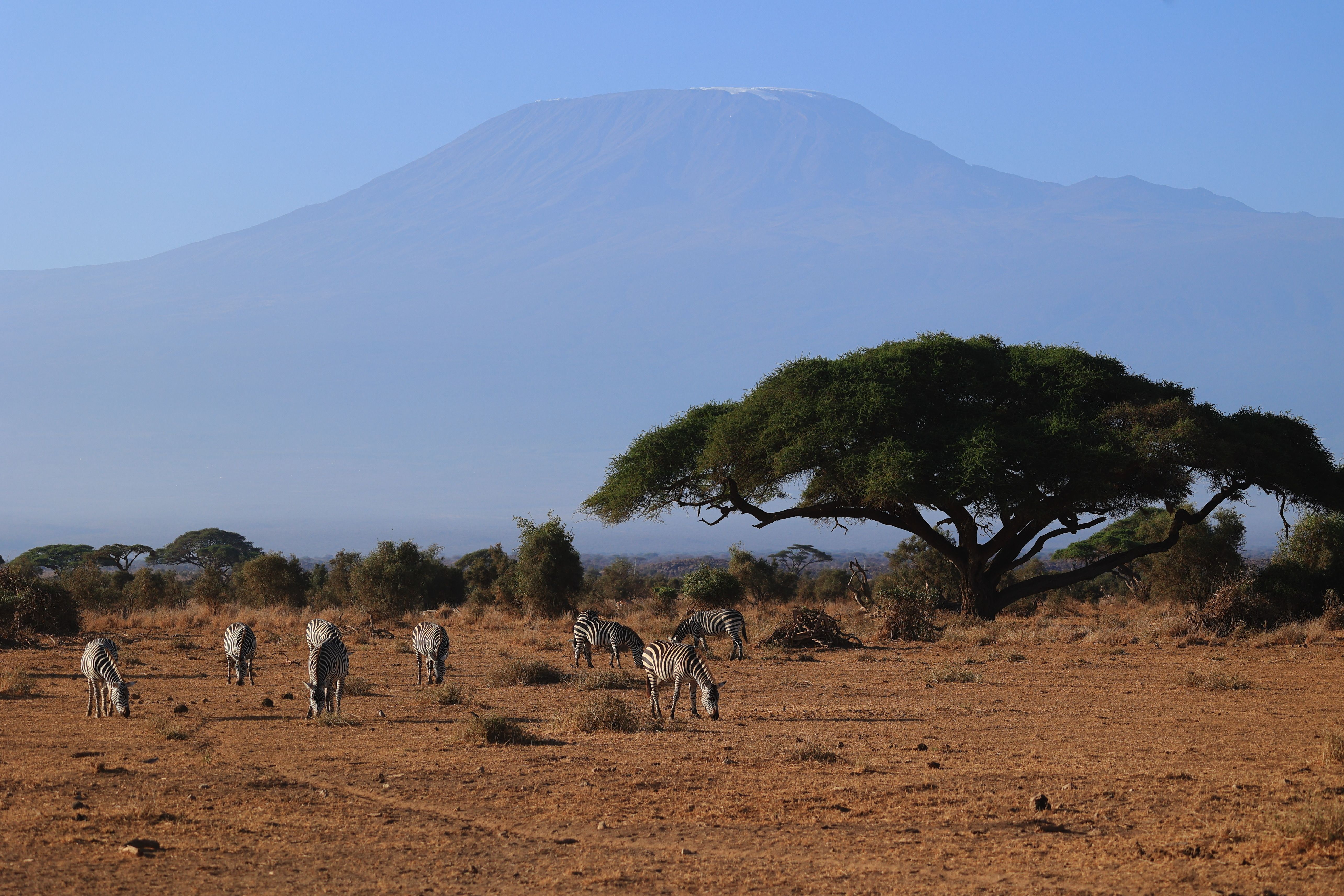 Amboseli National Park with elephants and Kilimanjaro
